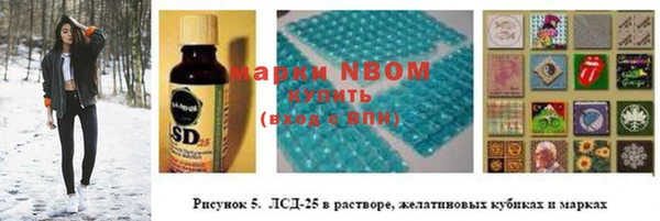 стафф Надым