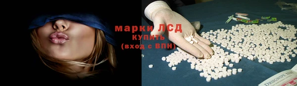 СК Гусь-Хрустальный