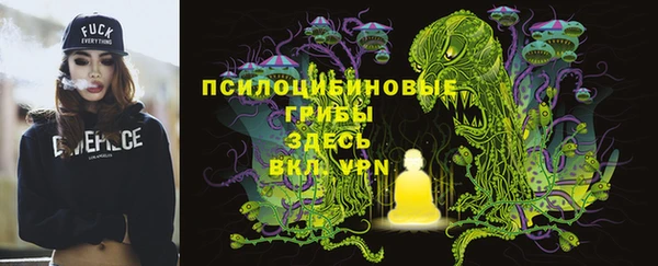 таблы Гусиноозёрск