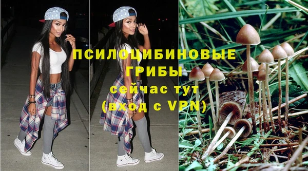 кристаллы Гусев