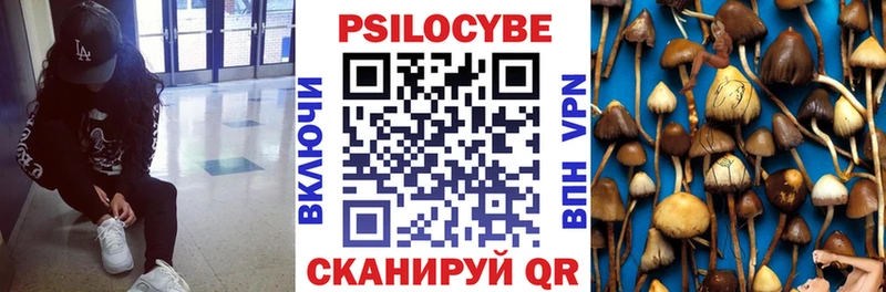 Купить закладки  Кузнецк  Галлюциногенные грибы GOLDEN TEACHER 