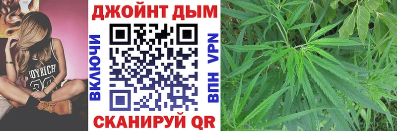 Бошки Шишки THC 21%  Купить закладки  Кузнецк 